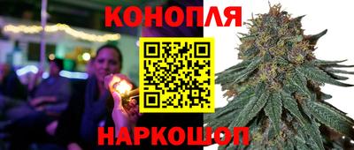 ECSTASY Гудермес