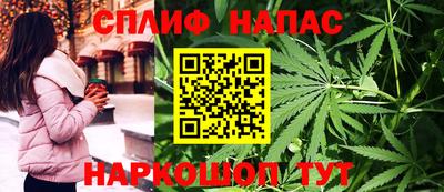 гидропоника Моздок