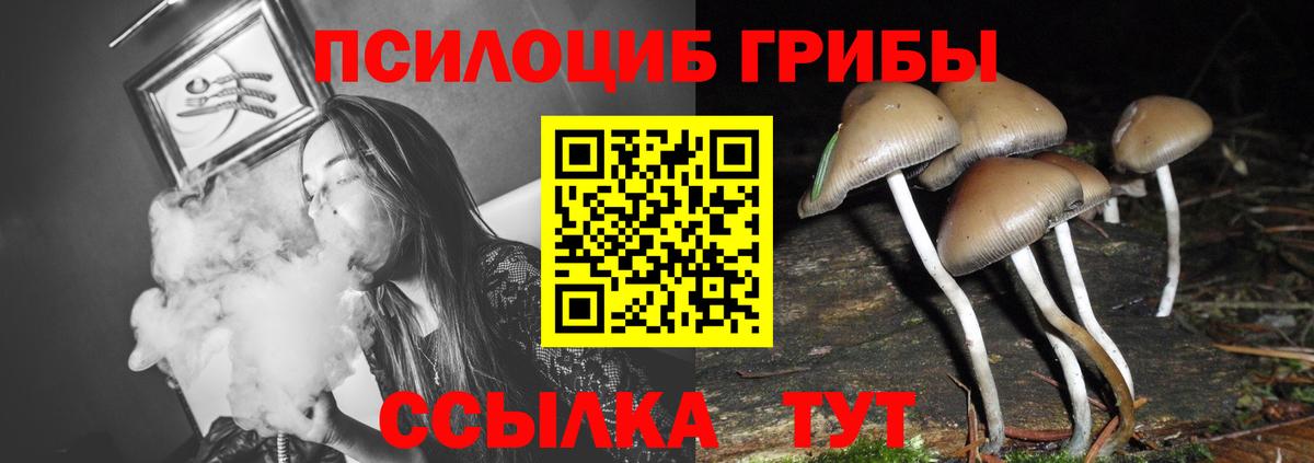 Псилоцибиновые грибы Magic Shrooms Владимир